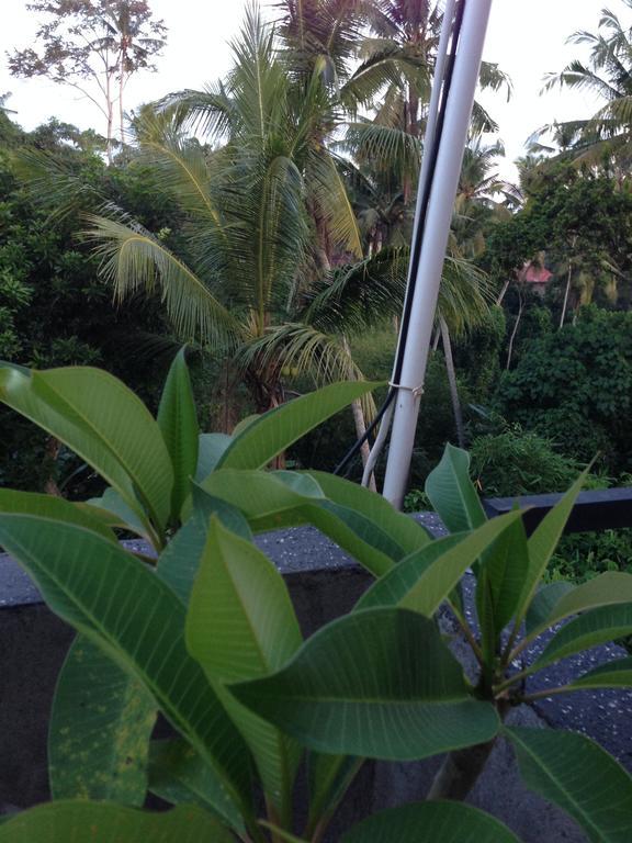 Cebluk Sari Apartment Ubud  Luaran gambar